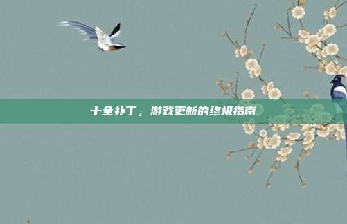 十全补丁,游戏更新的终极指南