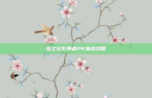 龙之谷影舞者PK加点攻略