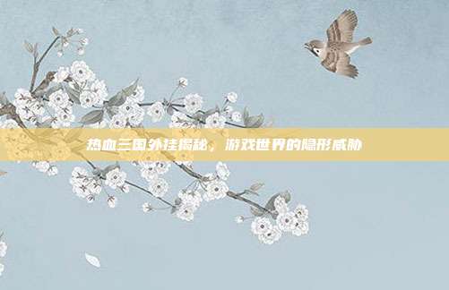 热血三国外挂揭秘,游戏世界的隐形威胁
