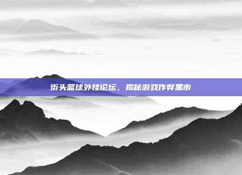 街头篮球外挂论坛，揭秘游戏作弊黑市