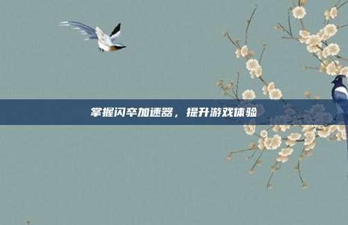 掌握闪卒加速器,提升游戏体验