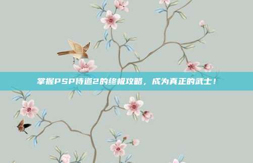掌握PSP侍道2的终极攻略，成为真正的武士！