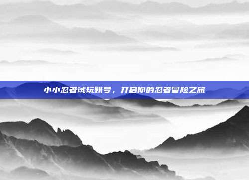 小小忍者试玩账号,开启你的忍者冒险之旅