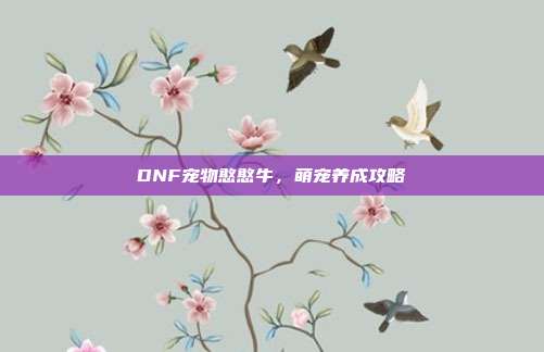 DNF宠物憨憨牛,萌宠养成攻略