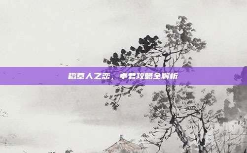 稻草人之恋,卓君攻略全解析