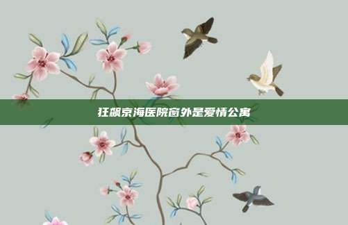 狂飙京海医院窗外是爱情公寓