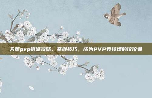 天策pvp镇派攻略,掌握技巧,成为PVP竞技场的佼佼者