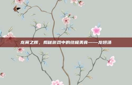 龙翼之辉,揭秘游戏中的终极美食——龙翅汤