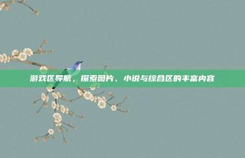 游戏区导航,探索图片、小说与综合区的丰富内容