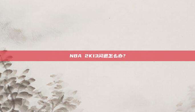 NBA 2K13闪退怎么办？