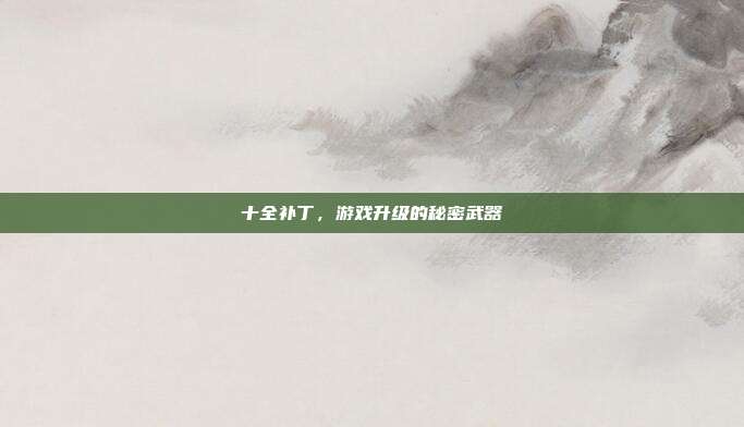 十全补丁，游戏升级的秘密武器