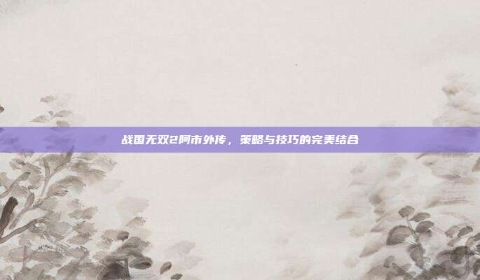 战国无双2阿市外传，策略与技巧的完美结合