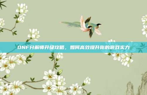 DNF分解师升级攻略，如何高效提升你的游戏实力