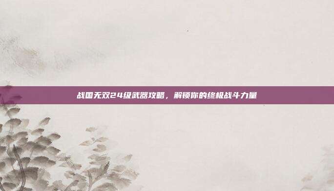 战国无双24级武器攻略，解锁你的终极战斗力量