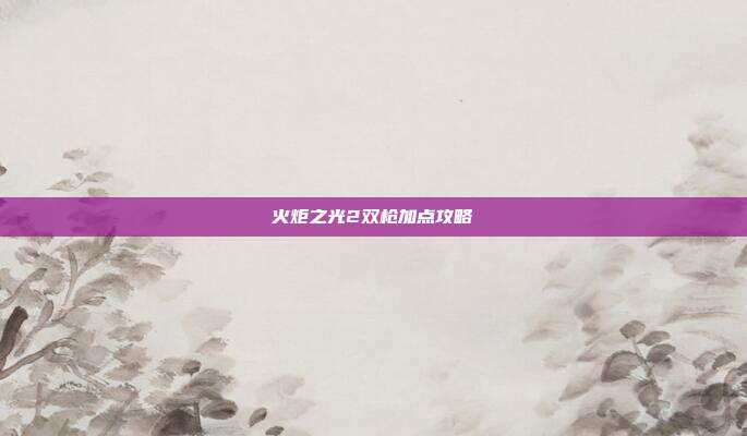 火炬之光2双枪加点攻略