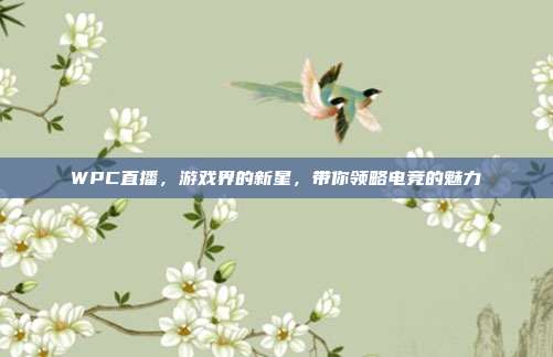 WPC直播，游戏界的新星，带你领略电竞的魅力