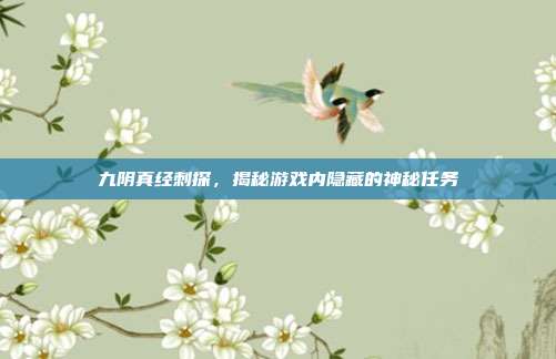 九阴真经刺探，揭秘游戏内隐藏的神秘任务