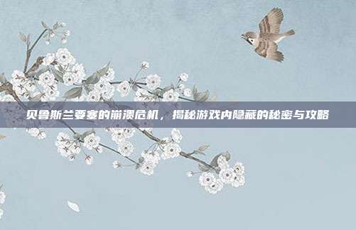 贝鲁斯兰要塞的崩溃危机，揭秘游戏内隐藏的秘密与攻略
