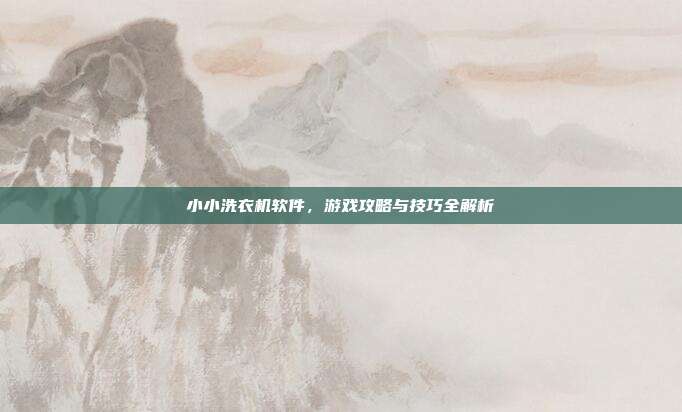 小小洗衣机软件，游戏攻略与技巧全解析