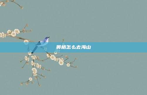 奥格怎么去海山