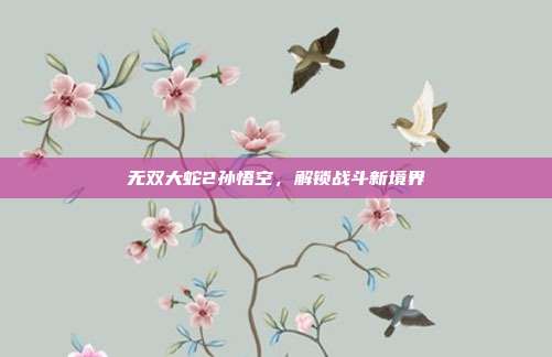 无双大蛇2孙悟空，解锁战斗新境界