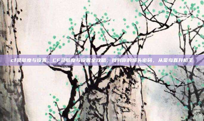 cf灵敏度与设置，CF灵敏度与设置全攻略，找到你的爆头密码，从菜鸟直升枪王