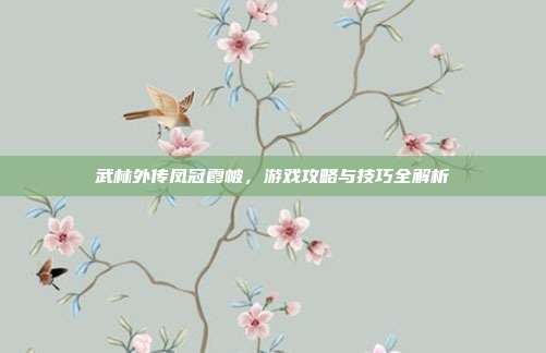 武林外传凤冠霞帔，游戏攻略与技巧全解析