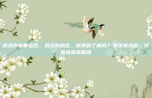 武汉市有哪些区，武汉市的区，你真的了解吗？不仅有光谷，还有这些宝藏地