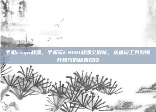 手机csgo战绩，手机玩CSGO战绩全解析，从查询工具到提升技巧的终极指南