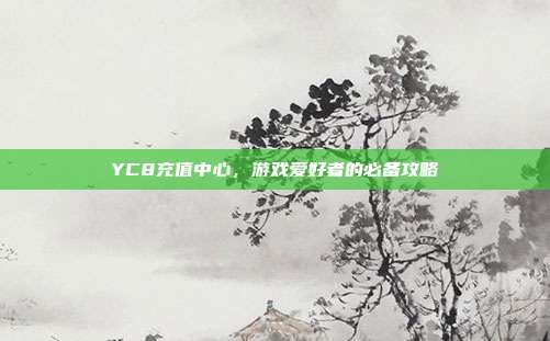 YC8充值中心，游戏爱好者的必备攻略