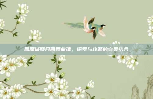 恶魔城晓月圆舞曲魂，探索与攻略的完美结合