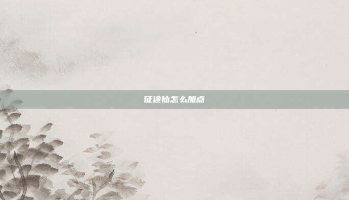 征途仙怎么加点