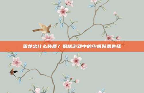 毒龙出什么装备？揭秘游戏中的终极装备选择