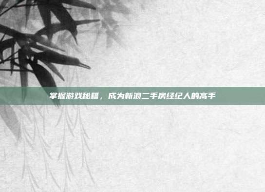 掌握游戏秘籍，成为新浪二手房经纪人的高手
