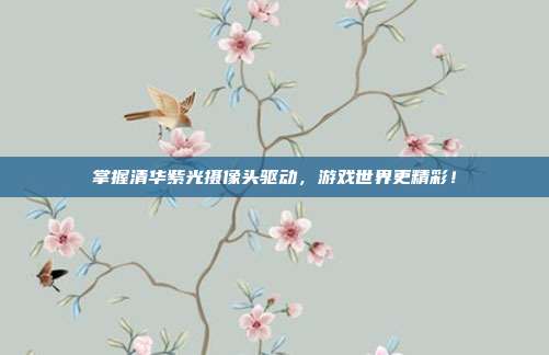 掌握清华紫光摄像头驱动，游戏世界更精彩！
