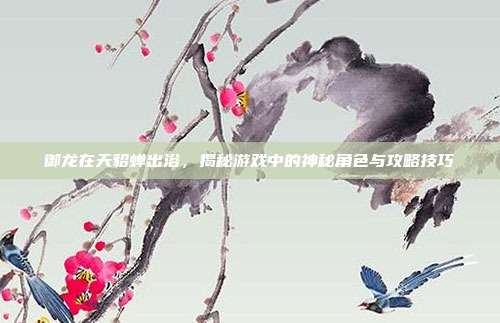 御龙在天貂蝉出浴，揭秘游戏中的神秘角色与攻略技巧
