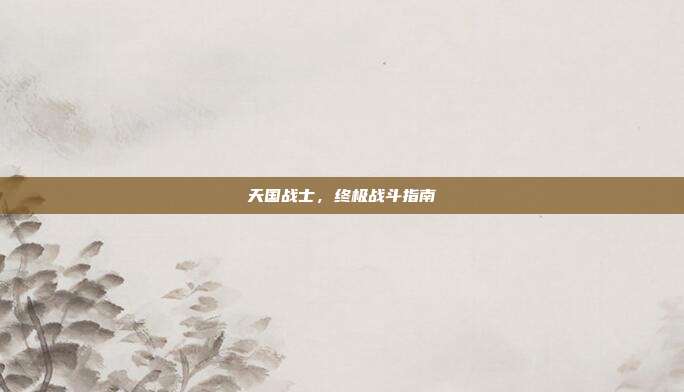 天国战士，终极战斗指南
