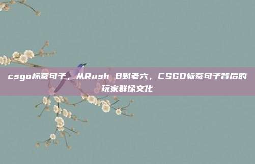 csgo标签句子，从Rush B到老六，CSGO标签句子背后的玩家群像文化