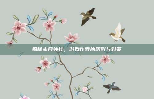 揭秘赤月外挂，游戏作弊的阴影与对策