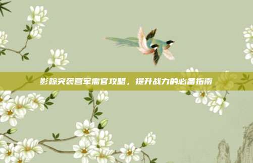 影踪突袭营军需官攻略，提升战力的必备指南