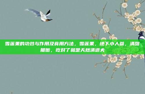 雪莲果的功效与作用及食用方法，雪莲果，地下小人参，清甜脆嫩，吃对了就是天然清道夫