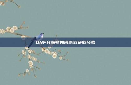 DNF分解师如何高效获取经验
