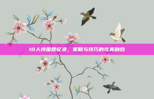 10人持国回忆录,策略与技巧的完美融合