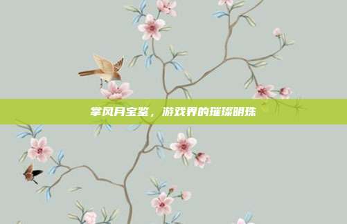 掌风月宝鉴，游戏界的璀璨明珠