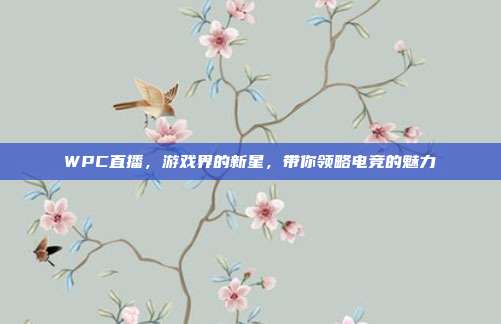 WPC直播,游戏界的新星,带你领略电竞的魅力