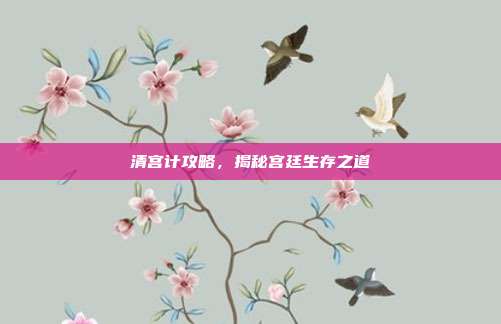 清宫计攻略,揭秘宫廷生存之道