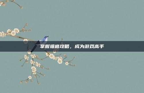 掌握祖格攻略，成为游戏高手