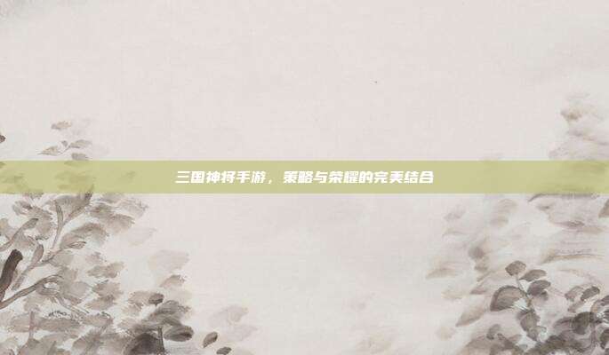 三国神将手游,策略与荣耀的完美结合