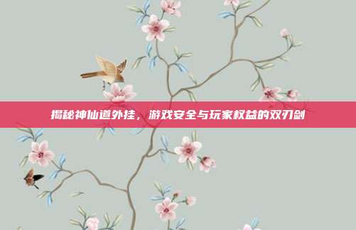 揭秘神仙道外挂,游戏安全与玩家权益的双刃剑