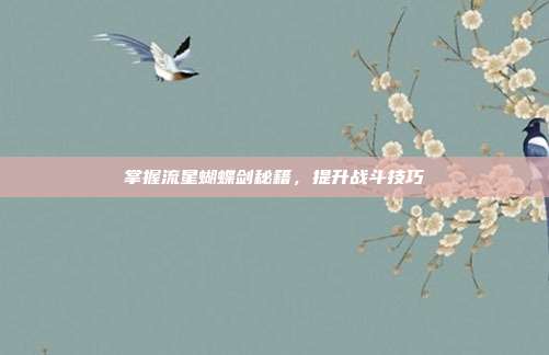 掌握流星蝴蝶剑秘籍，提升战斗技巧